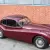 Jaguar : XK MC