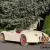 1951 Jaguar XK