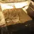 Lincoln : Other 2 Door Hardtop