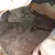 Lincoln : Other 2 Door Hardtop
