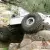Jeep CJ5 Offroad Rock Crawler