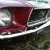 Ford : Mustang COUPE