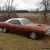 Plymouth : Barracuda 'Cuda