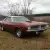 Plymouth : Barracuda 'Cuda