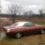Plymouth : Barracuda 'Cuda