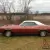 Plymouth : Barracuda 'Cuda
