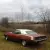 Plymouth : Barracuda 'Cuda