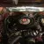 Plymouth : Barracuda 'Cuda