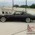 1979 Pontiac Trans Am
