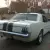 Shelby Tribute White/Dark Blue Stripes 5.0 5 Speed