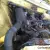 VOLVO 142 MANUAL COUPE not 242 gt 122 Saab BMW Mercedes Alfa Fiat Jaguar Porsche