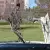 Lincoln : Continental Convertible