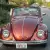NO RESERVE PRICE Beautifully Restored Convertible 1968 Volkswagen Beetle