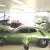 Plymouth : Road Runner Base