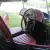 MG: MG-TC 1948 Roadster