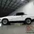 1980 Triumph TR7