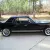 Shelby Mustang