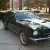Shelby Mustang
