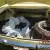 Plymouth: Satellite Sport Satellite | eBay