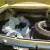 Plymouth: Satellite Sport Satellite | eBay