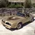 Pontiac : Trans Am 4 Speed Special Edition  Survivor  Unrestored