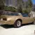 Pontiac : Trans Am 4 Speed Special Edition  Survivor  Unrestored