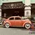 1957 oval beetle