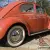1957 oval beetle
