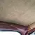 1957 oval beetle