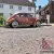 1957 oval beetle