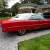 FACTORY RED WHITE AND BLUE. ONE OF A KIND