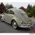 VW Beetle /  California Car / Original engine / Odometer reads 17200