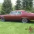 Muscle , Not Mustang, Nova SS,
