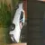 Lincoln Continental 1965 Right Hand Drive Original Motor AND Interior in SA