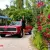 1967 Mercury Cougar v8