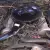Mercedes 280 SE 3.5 V8