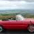 1968 Alfa Romeo Spider Veloce
