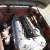 Jaguar XK120 Roadster