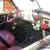 1949 Dodge Other