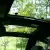 CLASSIC  1986 NISSAN 300 ZX! 5 SPEED! RARE! AMAZING CONDITION!