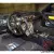 1973 De Tomaso Pantera --