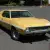 AMC : Javelin Sport