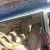 1989 Jeep Wagoneer jeep grand waggoner