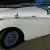 Jaguar: XK OTS