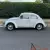1964 Volkswagen Beetle - Classic