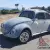 1969 Volkswagen Beetle - Classic none
