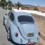 1969 Volkswagen Beetle - Classic none