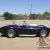 1965 Shelby 427 Cobra by Arntz and Butler
