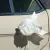  Rolls Royce Siver Spirit 1987 E reg - Wedding Car - FSH from new