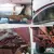 1955 Chevrolet Bel Air/150/210